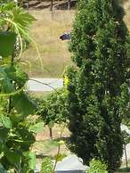 Hawkdun Rise Vineyard & Accommodation
