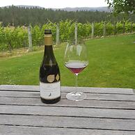 Hawkdun Rise Vineyard & Accommodation