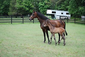 The Colonels B&B and Inn