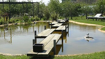 Las Villas de Cué - Villa 6 Superior