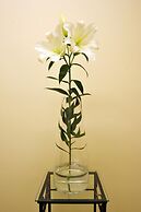 Kosmopolita Apartments