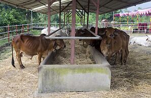 Govardhan Eco Village