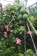 Govardhan Eco Village