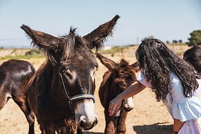 Hotel Rural Senhora De Pereiras