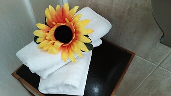 Hotel Rural Senhora De Pereiras