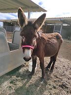 Hotel Rural Senhora De Pereiras