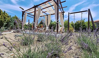 Karina Vineyard House