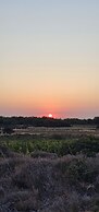Karina Vineyard House