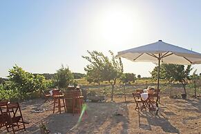 Karina Vineyard House