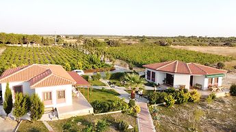 Karina Vineyard House