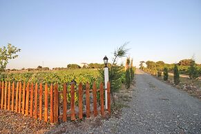 Karina Vineyard House