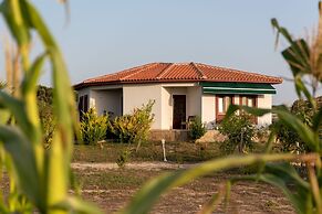 Karina Vineyard House