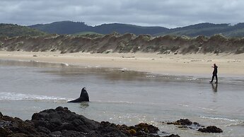 Surat Bay Lodge & Backpackers Hostel