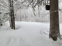 Ski in & out Spruce Glen Townhomes on Great Eastern Trail