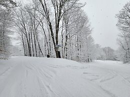 Ski in & out Spruce Glen Townhomes on Great Eastern Trail