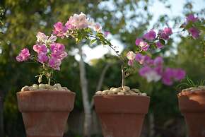 Globetrotter Inn Palawan