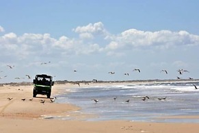 Casa Rural Arenas de El Rocio