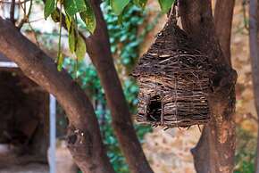 Hostal Can Xicu