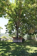 Podere Agrituristico Luchiano