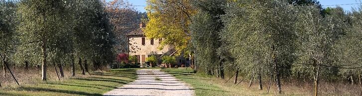 Podere Agrituristico Luchiano
