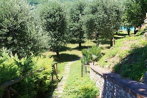 Podere Agrituristico Luchiano