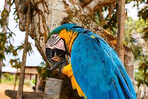 Amazônia ParkSuítes
