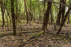 Amazônia ParkSuítes