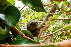 Amazônia ParkSuítes