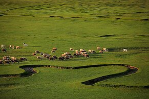 Taraklı Termal Suite