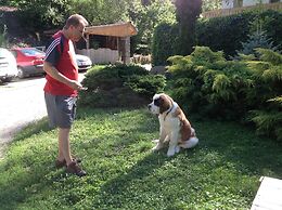 Oko-Park Panzió Kemping és Rendezvényközpont