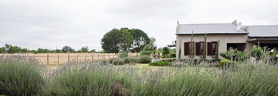 Ambers & Grace Guest Farm