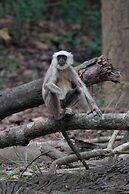 Tiger Tops Tharu Lodge