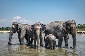 Tiger Tops Tharu Lodge