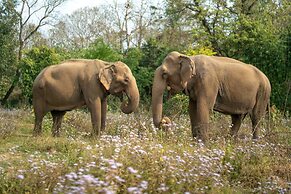 Tiger Tops Tharu Lodge