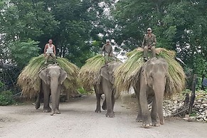 Tiger Tops Tharu Lodge