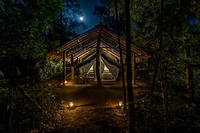 Tiger Tops Tharu Lodge