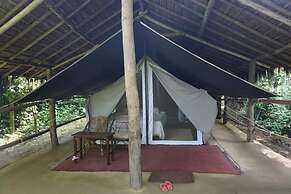 Tiger Tops Tharu Lodge