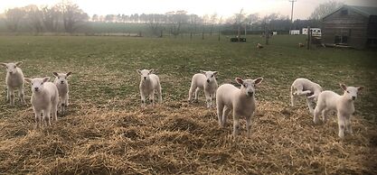 The Farm Burscough