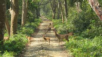 Tigertops Karnali Lodge