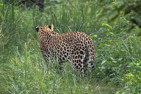 Tigertops Karnali Lodge