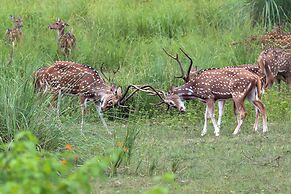 Tigertops Karnali Lodge
