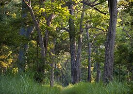 Tigertops Karnali Lodge
