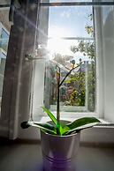 Zagreb City Vibe Apartments & Rooms