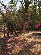 Roly Airport Residence