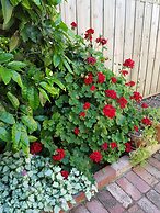 Healesville House - Fig Tree House