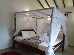 Galle Cemellia