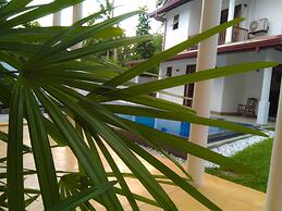 Galle Cemellia