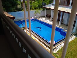 Galle Cemellia