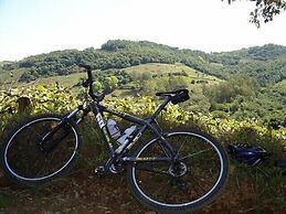 Guest House Capitão Mor