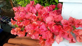 Meltemia Studios Samos